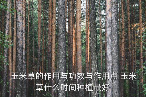 玉米草打什么農藥,玉米治蟲用什么農藥好