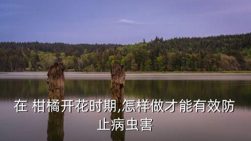 柑橘套袋要打什么農藥,柑橘炭疽病用什么農藥最好