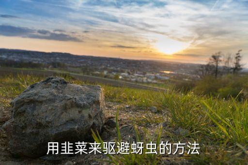 用什么農藥消滅牙蟲病害