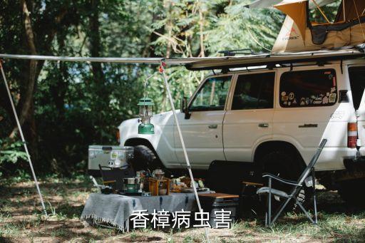 香樟病蟲害
