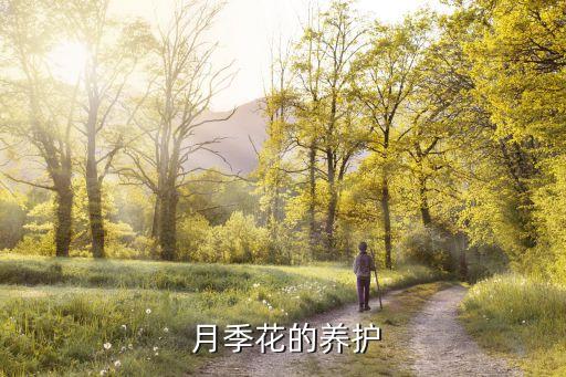 什么農(nóng)藥能讓月季花死苗,月季花定期噴什么農(nóng)藥