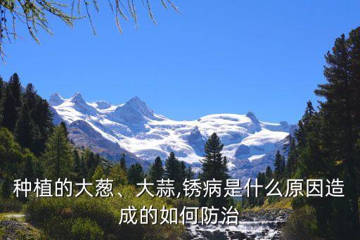 種植的大蔥、大蒜,銹病是什么原因造成的如何防治