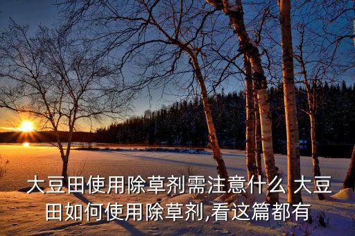 大豆田使用除草劑需注意什么 大豆田如何使用除草劑,看這篇都有