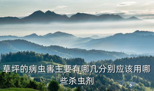 草皮一般噴什么農藥,草皮噴綠是什么農藥