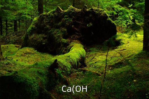 Ca(OH
