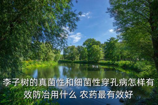 李樹在秋天該打什么農(nóng)藥