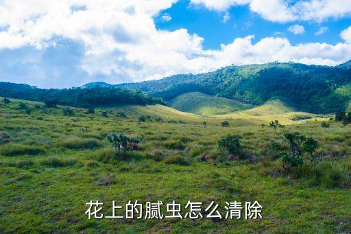 花上的膩蟲怎么清除