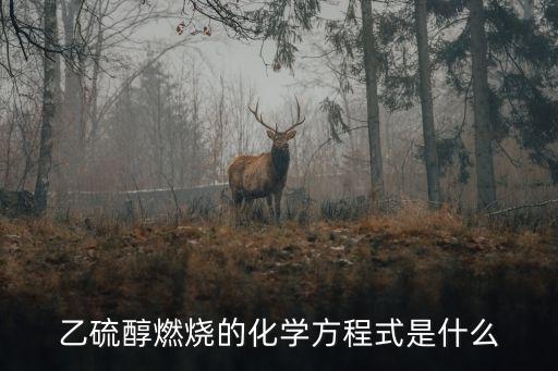 乙硫醇燃燒的化學方程式是什么