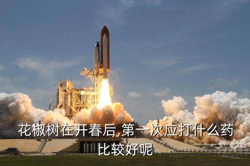  花椒樹在開春后,第一次應(yīng)打什么藥比較好呢