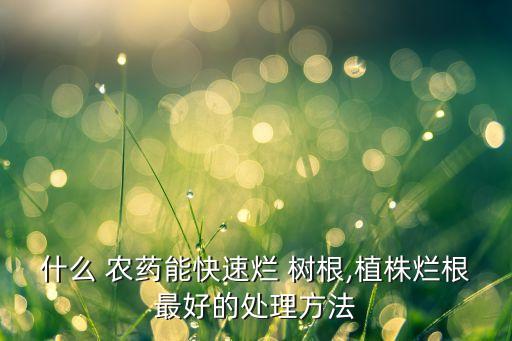 什么 農(nóng)藥能快速爛 樹根,植株爛根最好的處理方法
