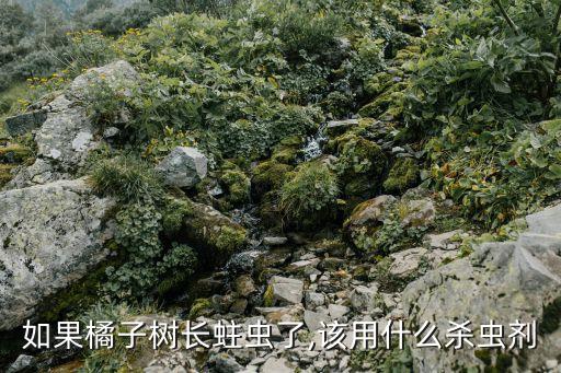 用什么農藥除桔子樹,桔子樹結果了可以打農藥嗎