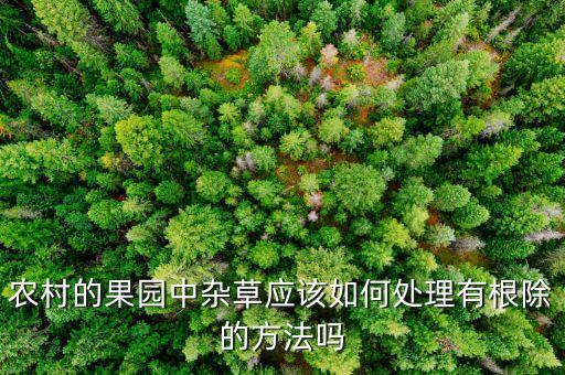 農村的果園中雜草應該如何處理有根除的方法嗎