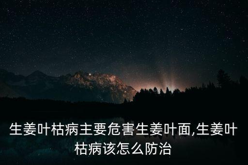 生姜葉枯病主要危害生姜葉面,生姜葉枯病該怎么防治