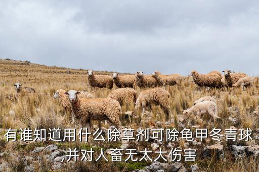 有誰(shuí)知道用什么除草劑可除龜甲冬青球,并對(duì)人畜無(wú)太大傷害