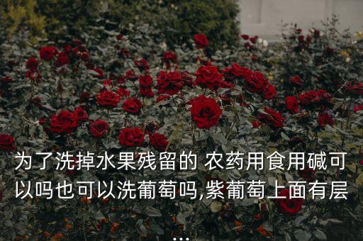 東爪果腐爛用什么農藥