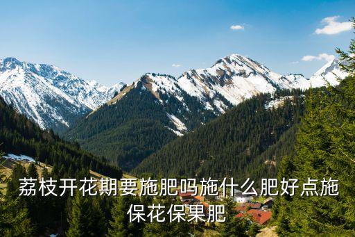  荔枝開花期要施肥嗎施什么肥好點施保花保果肥