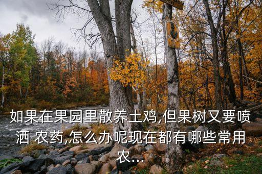 如果在果園里散養土雞,但果樹又要噴灑 農藥,怎么辦呢現在都有哪些常用農...
