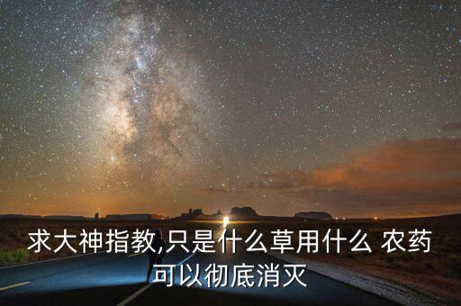 用什么農藥能根除,蘆葦用什么農藥根除