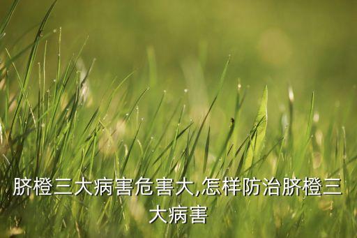 臍橙水爛用什么農藥,臍橙樹春季打什么農藥