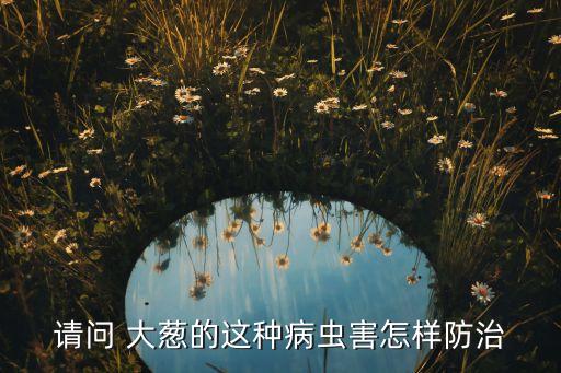 種大蔥用什么農藥,大蔥苗什么時間種最好
