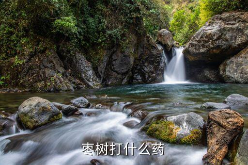 棗樹打什么藥