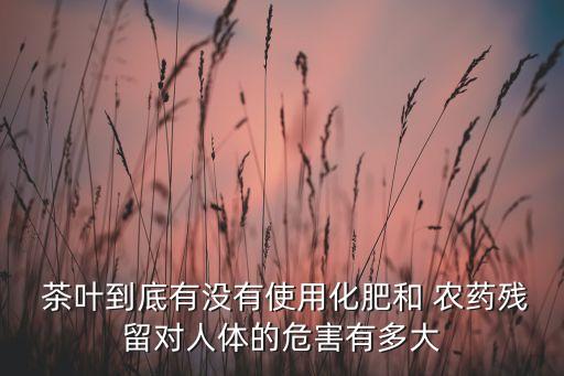 茶葉不打農藥政策是什么