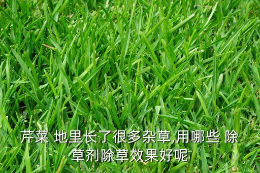 芹菜 地里長了很多雜草,用哪些 除草劑除草效果好呢