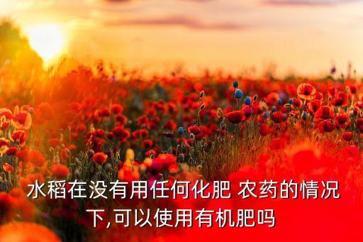 為什么水稻不推廣了農藥,水稻為什么要打農藥