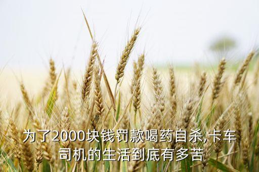為了2000塊錢罰款喝藥自殺,卡車 司機的生活到底有多苦