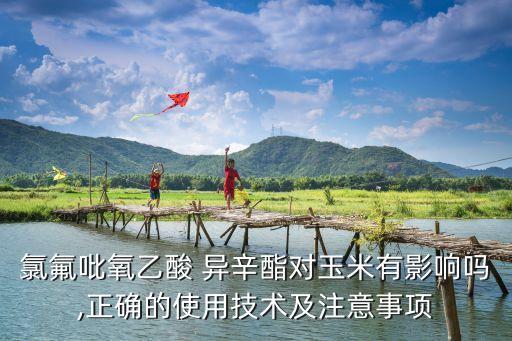 氯氟吡氧乙酸 異辛酯對玉米有影響嗎,正確的使用技術及注意事項