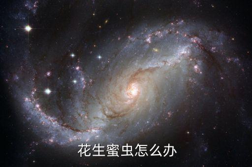  花生蜜蟲怎么辦