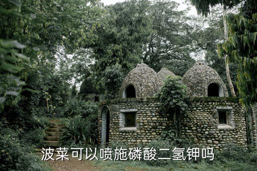 波菜可以噴施磷酸二氫鉀嗎