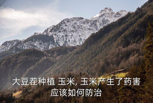 什么農藥不傷黃豆玉米,黃豆要打什么農藥