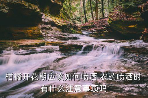 果樹剛出花蕾用什么農藥
