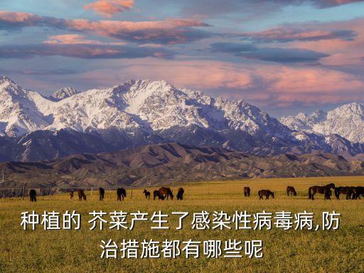 種植的 芥菜產(chǎn)生了感染性病毒病,防治措施都有哪些呢