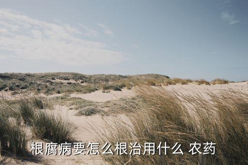 農(nóng)藥腐蝕用什么藥,必備農(nóng)藥可以和什么藥混配