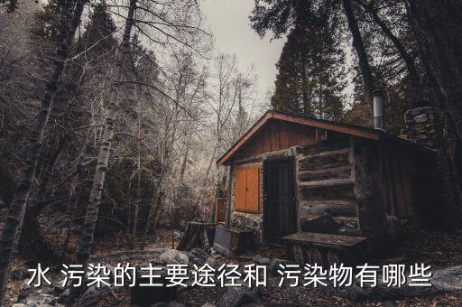 水 污染的主要途徑和 污染物有哪些