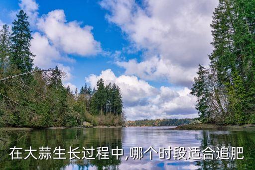 在大蒜生長(zhǎng)過(guò)程中,哪個(gè)時(shí)段適合追肥