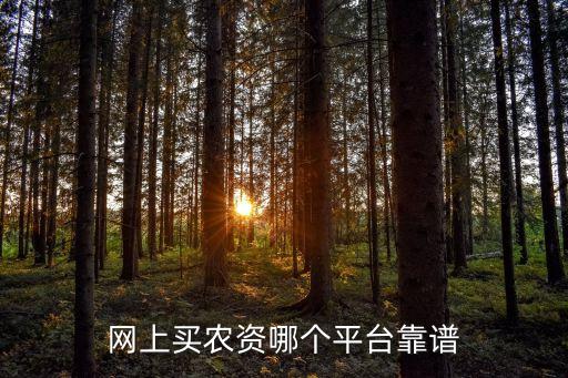 批發(fā)正品農(nóng)藥上什么網(wǎng)站,農(nóng)藥批發(fā)和零售有什么不同