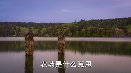 快我五寶,王者農藥,王者榮耀,和平精英,王者榮耀王者農藥什么意思