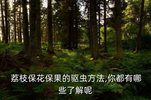  荔枝保花保果的驅蟲方法,你都有哪些了解呢