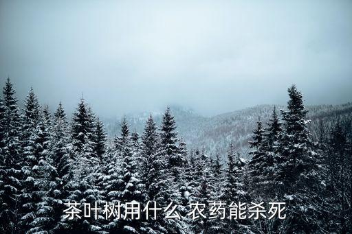 打茶果用什么農藥,什么茶最容易農藥超標
