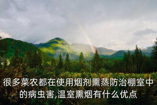 很多菜農(nóng)都在使用煙劑熏蒸防治棚室中的病蟲害,溫室熏煙有什么優(yōu)點