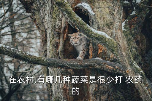 在農村,有哪幾種蔬菜是很少打 農藥的