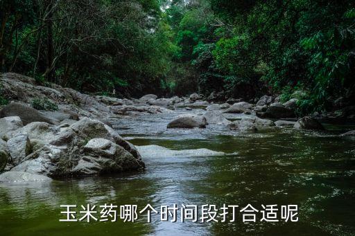  玉米藥哪個(gè)時(shí)間段打合適呢