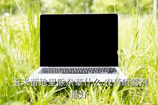 種玉米需要什么農(nóng)藥,玉米治蟲用什么農(nóng)藥好