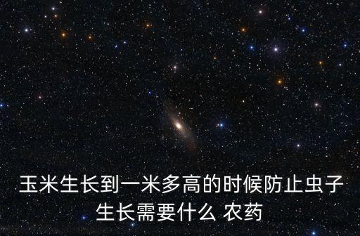  玉米生長到一米多高的時候防止蟲子生長需要什么 農藥