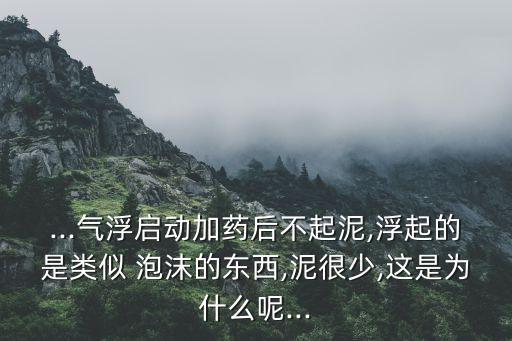 ...氣浮啟動加藥后不起泥,浮起的是類似 泡沫的東西,泥很少,這是為什么呢...