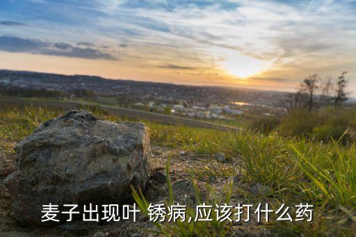 什么農藥能粘住麥銹病