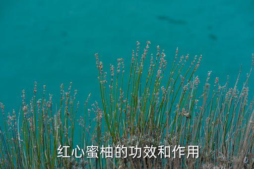 紅心柚施什么農(nóng)藥防蟲子